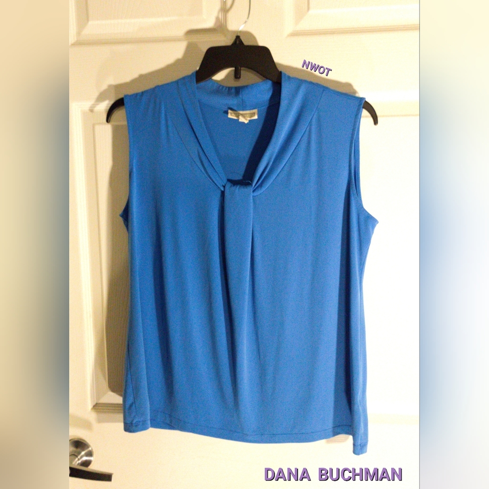 🦩DANA BUCHMAN Blue Pullover XL Sleeveless